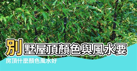 屋頂長草風水|風水上來説屋頂長草：為什麼屋頂不要長草？【風水上來説屋頂長。